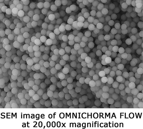 OFLOW_SEM image at 20,000x