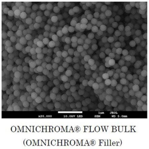 SEM image of the fillter OMNICHROMA Flow BULK SEM image